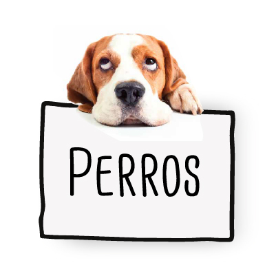 Perros